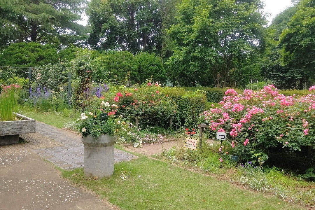 Fukaya Green Kingdom-深谷市必去景点