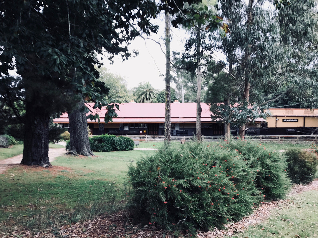 J.A.C Russell Park-Gembrook必去景点