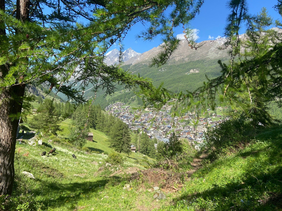 Edelweiss Trail景点图片