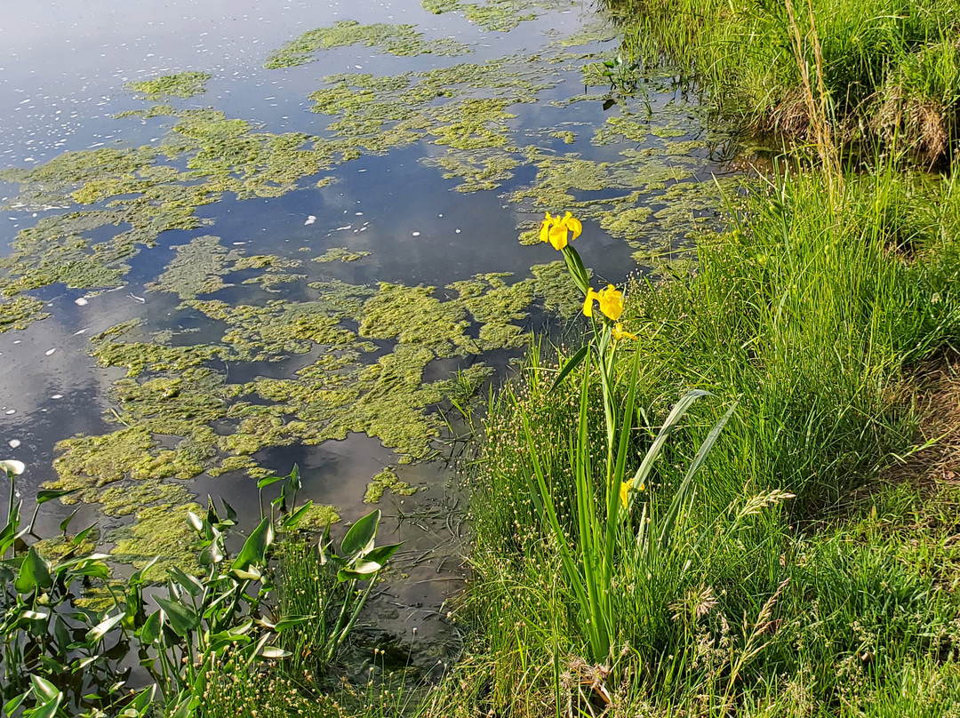 Golf at Old Kinderhook-Camdenton必去景点