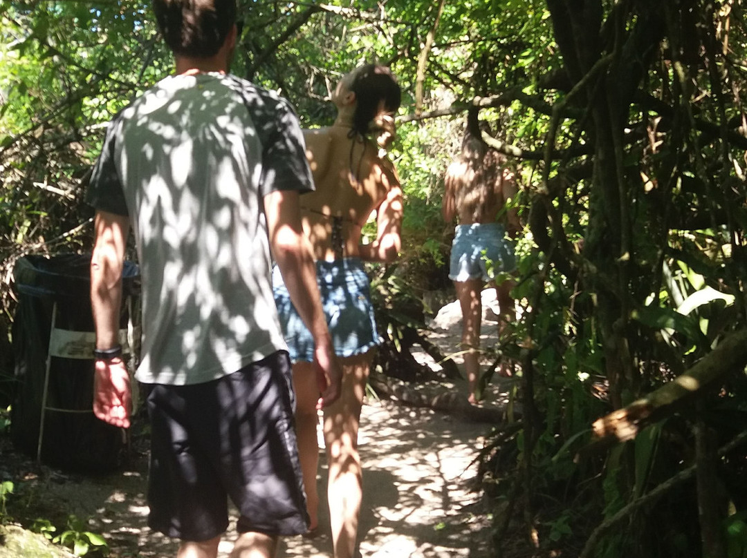 Ribeiro Beach-Bombinhas必去景点