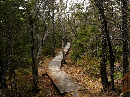 Chapel Gully Trail-Canso必去景点