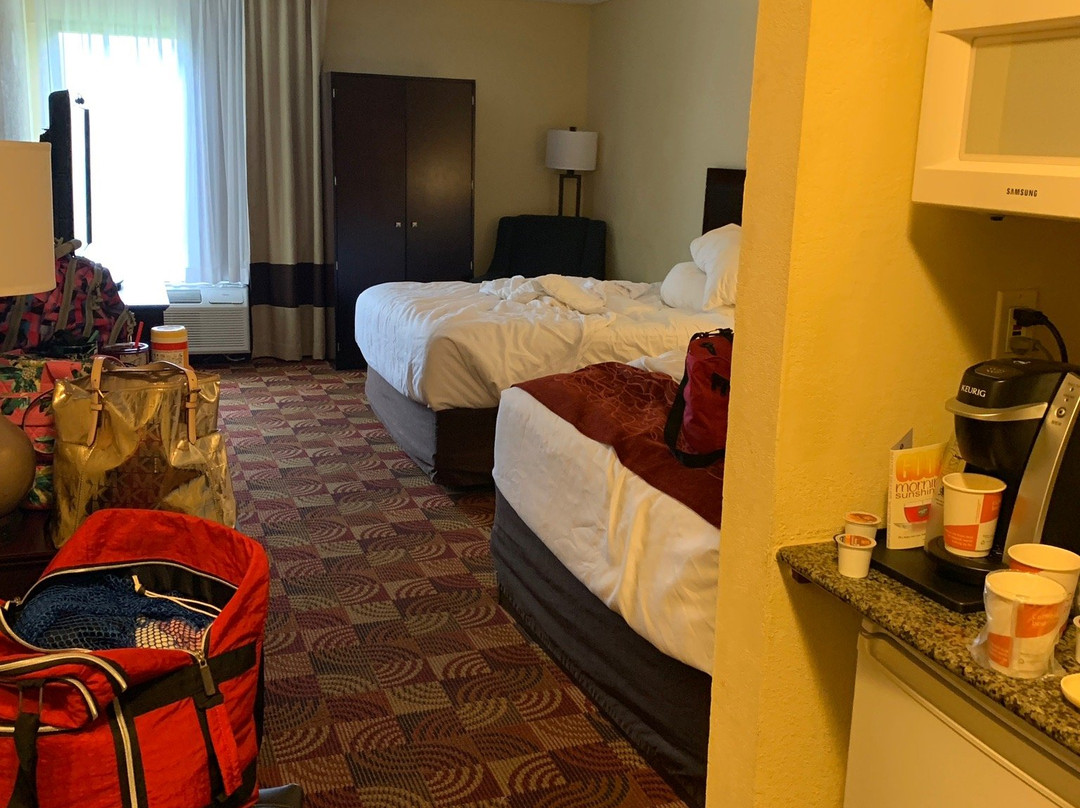 Comfort Inn & Suites主图