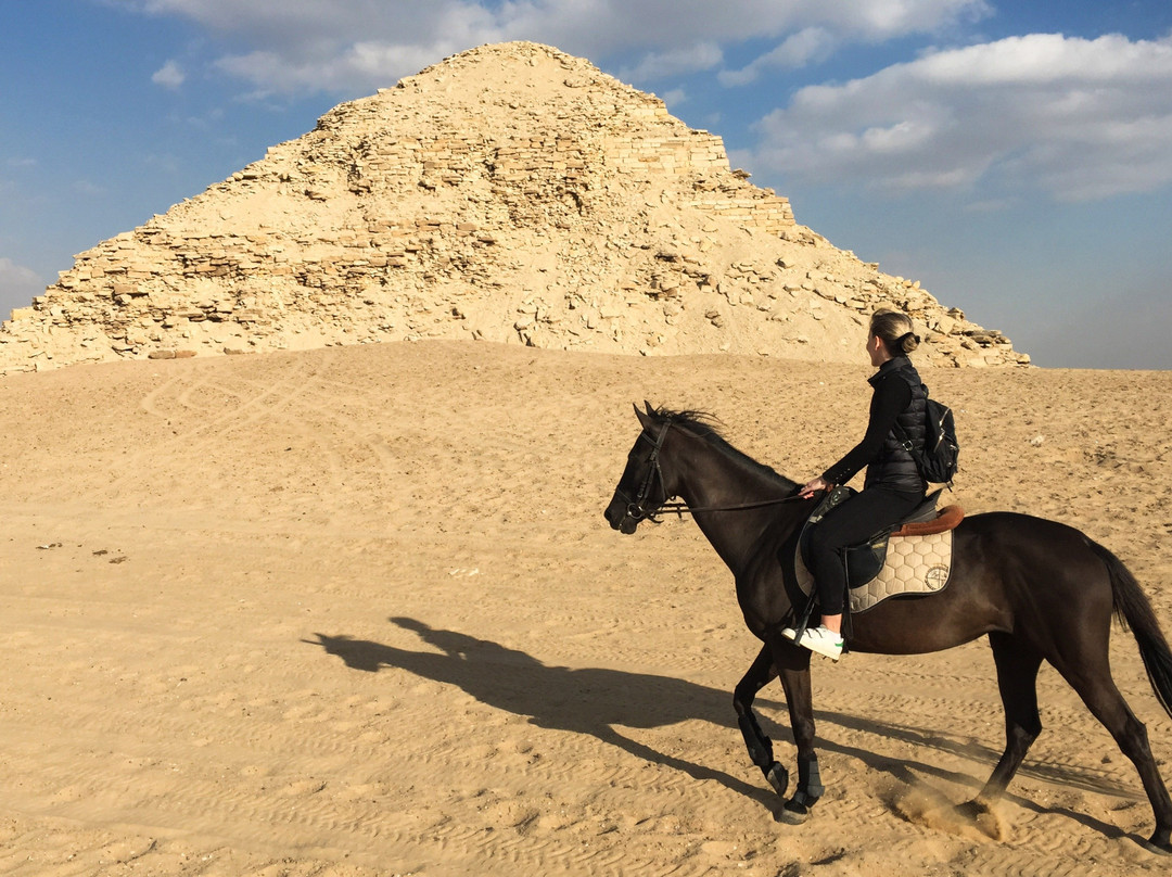 Egypt Horse Riding & Photography-开罗必去景点