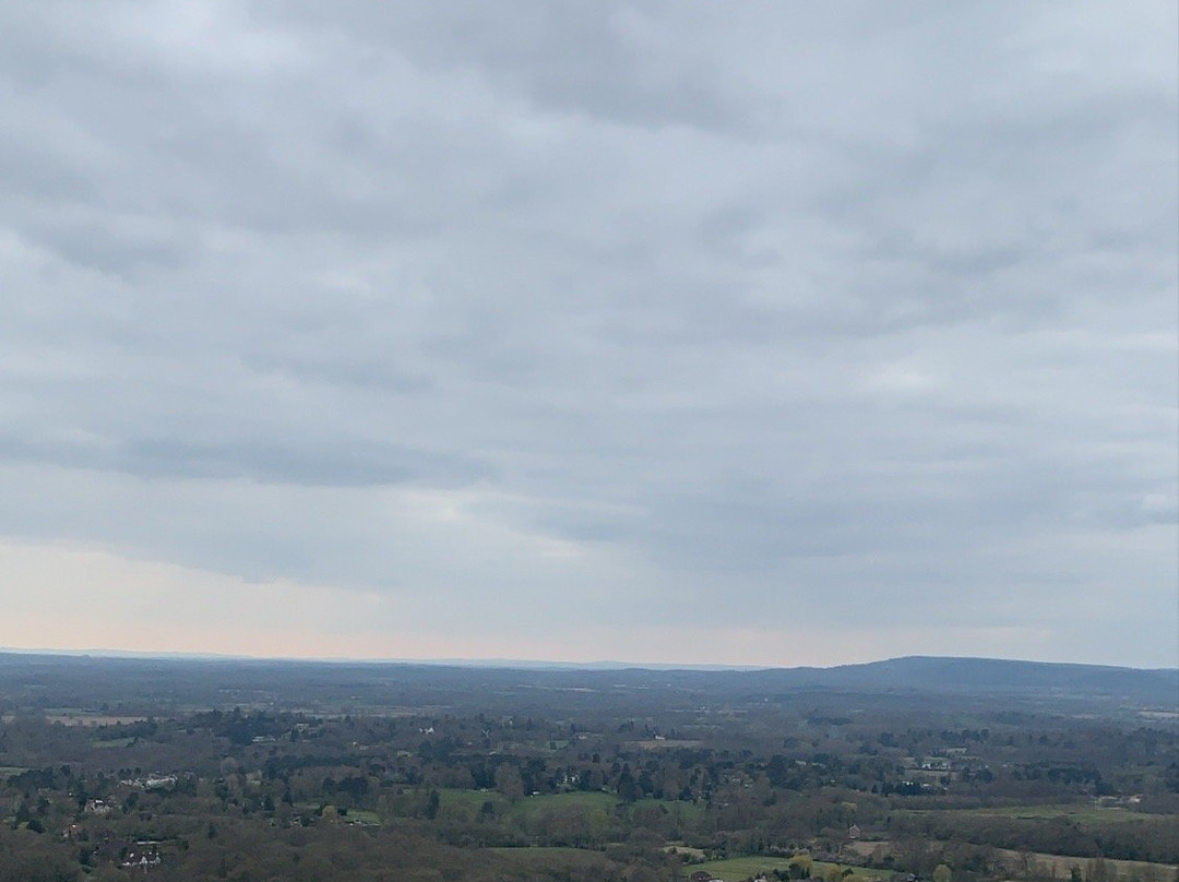 Reigate Hill景点图片