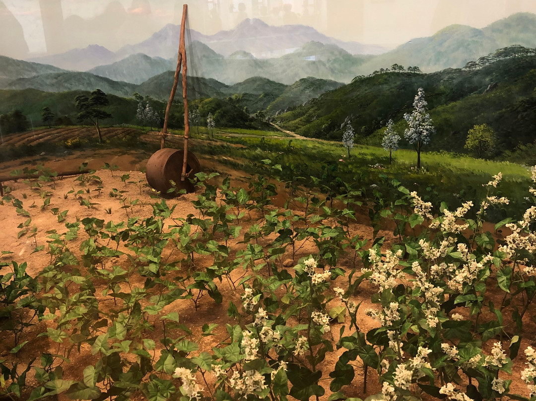 Chuncheon Makguksu Museum-春川市必去景点