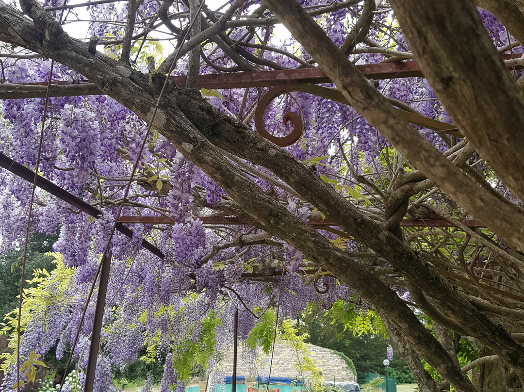 Hôtel du Château主图