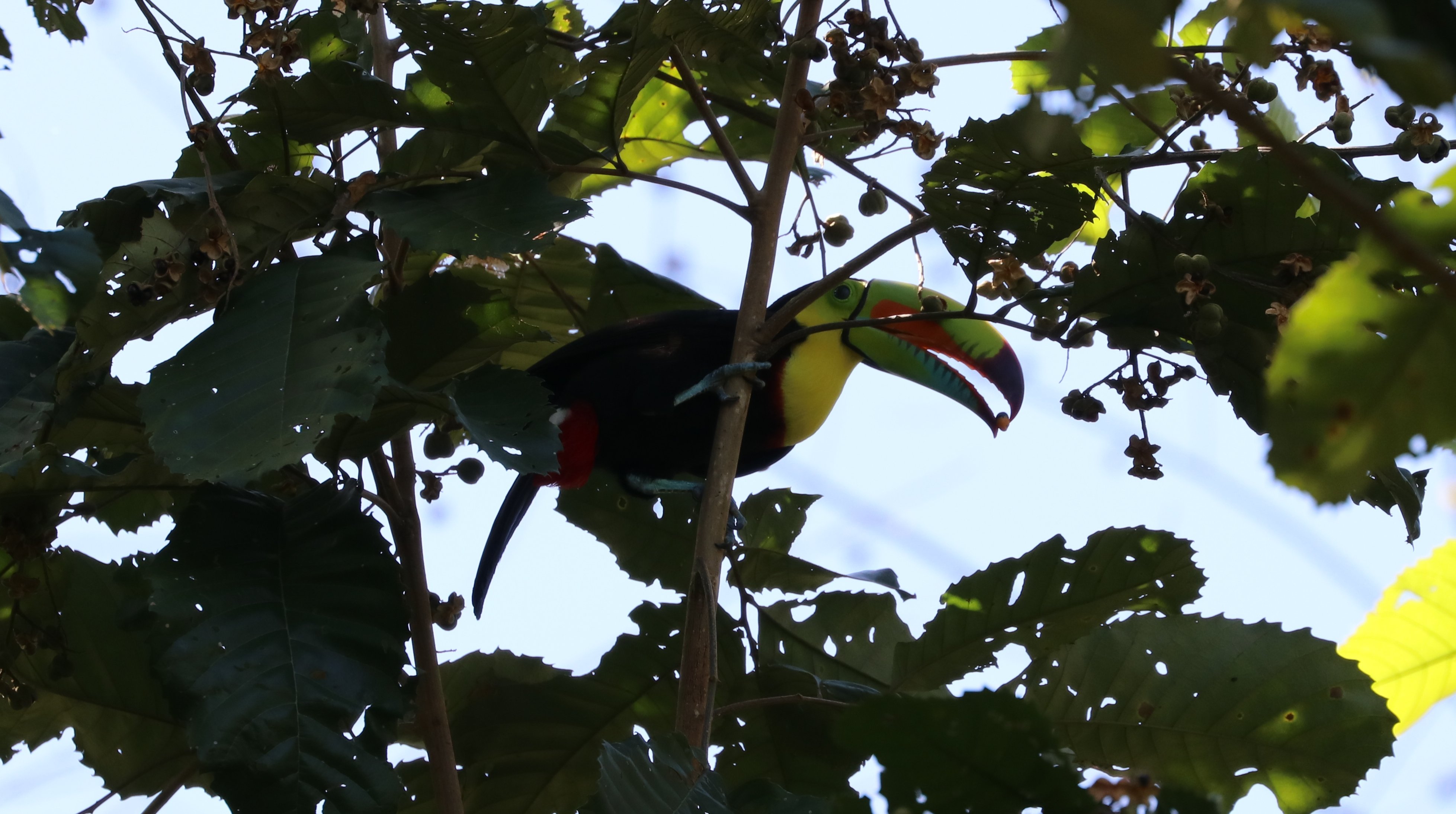 Suizo Loco Lodge Hotel & Resort-浴室