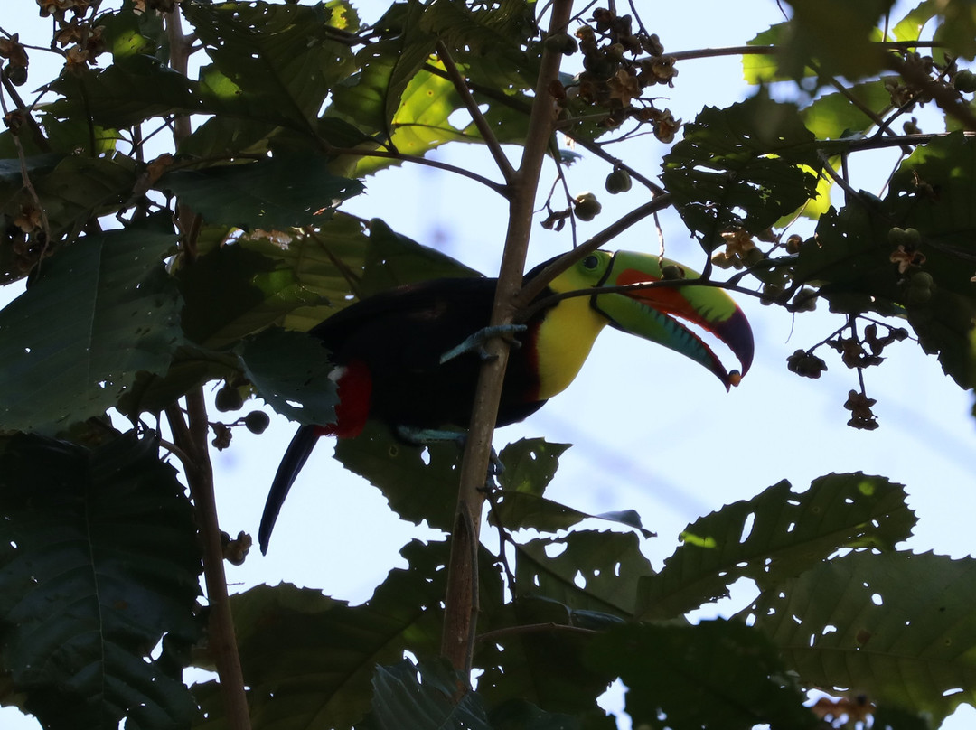 Suizo Loco Lodge Hotel & Resort主图