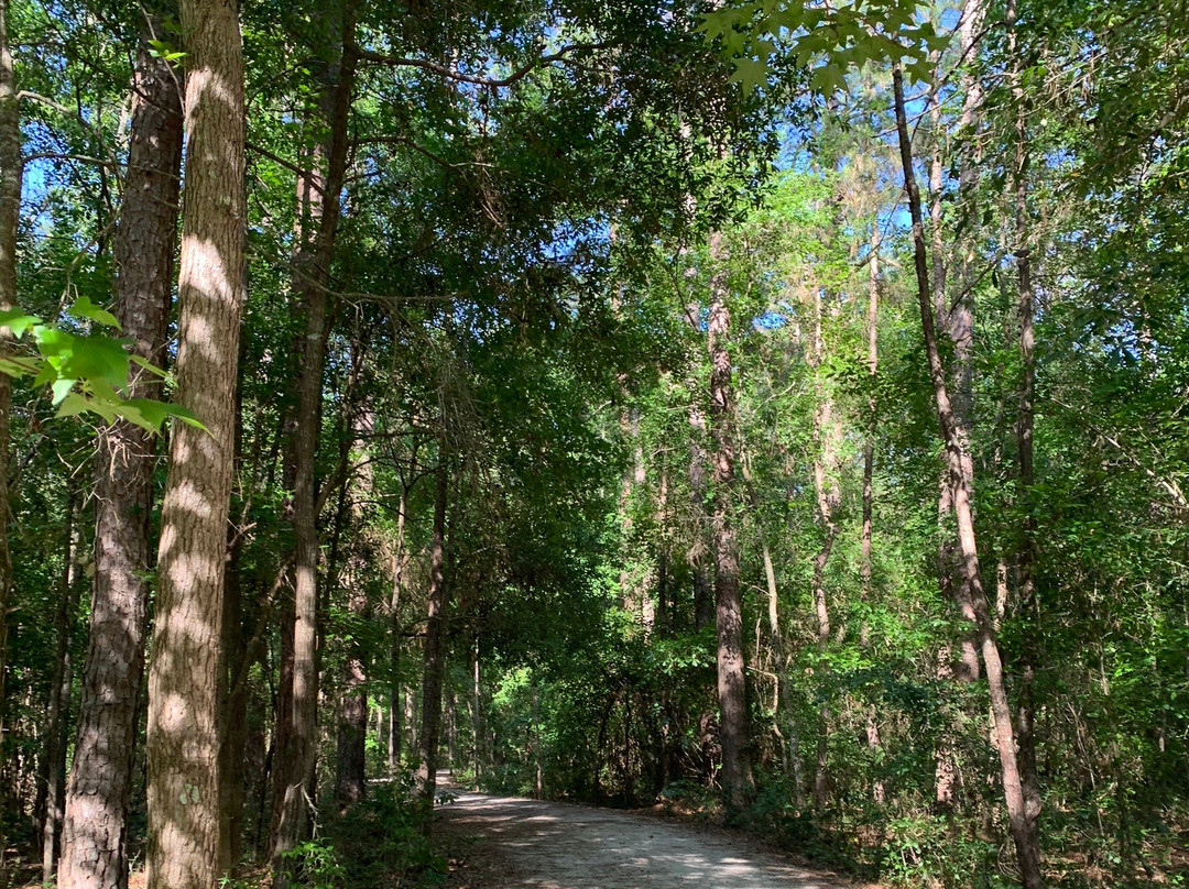 Miccosukee Canopy Road Greenway景点图片