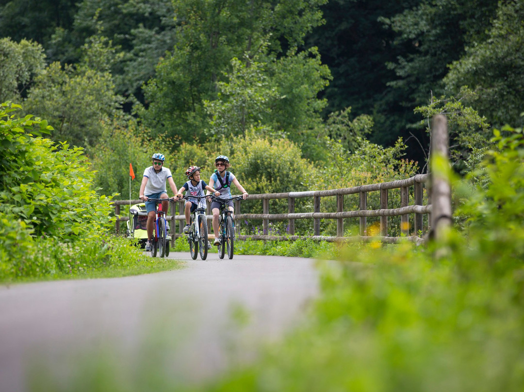Pista Ciclabile Val di Sole-Commezzadura必去景点