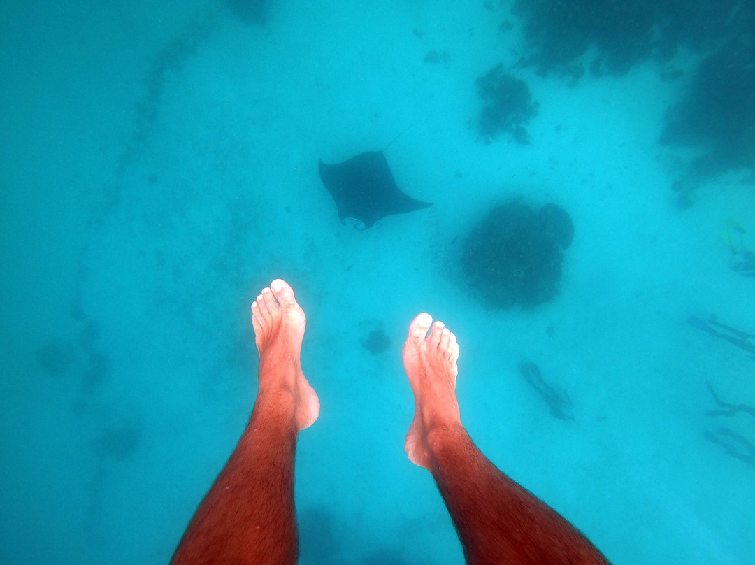 Soul Scuba Divers-Kri Island必去景点