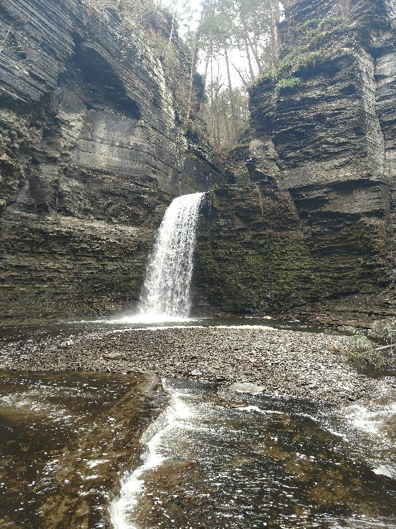 Havana Glen Park景点图片