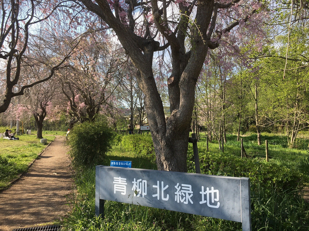 Yagawa Ryokuchi Park-立川市必去景点