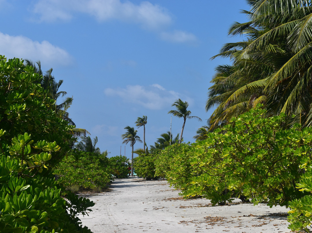 快乐岛度假村主图