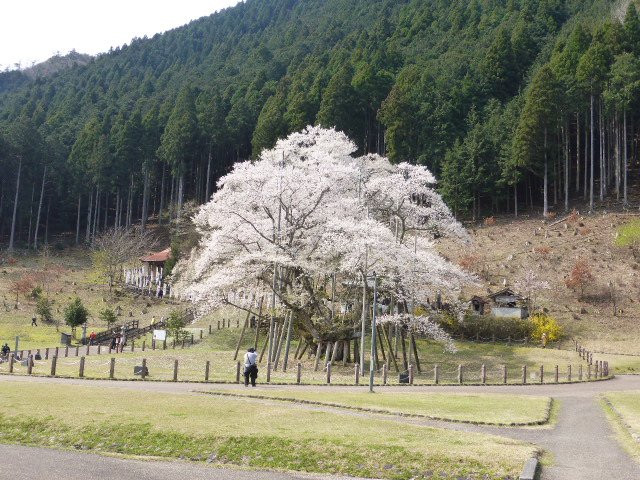 Usuzumi Park景点图片