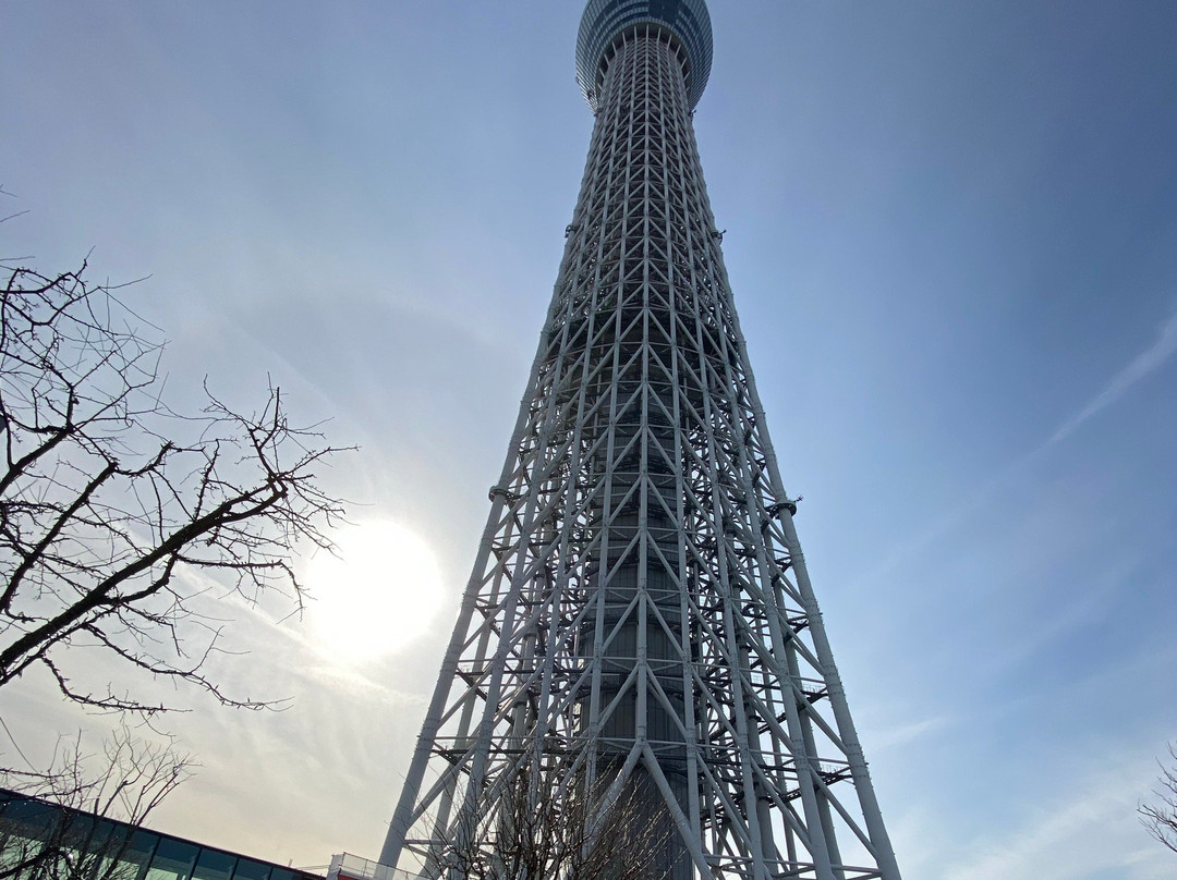 东京天空树景点图片