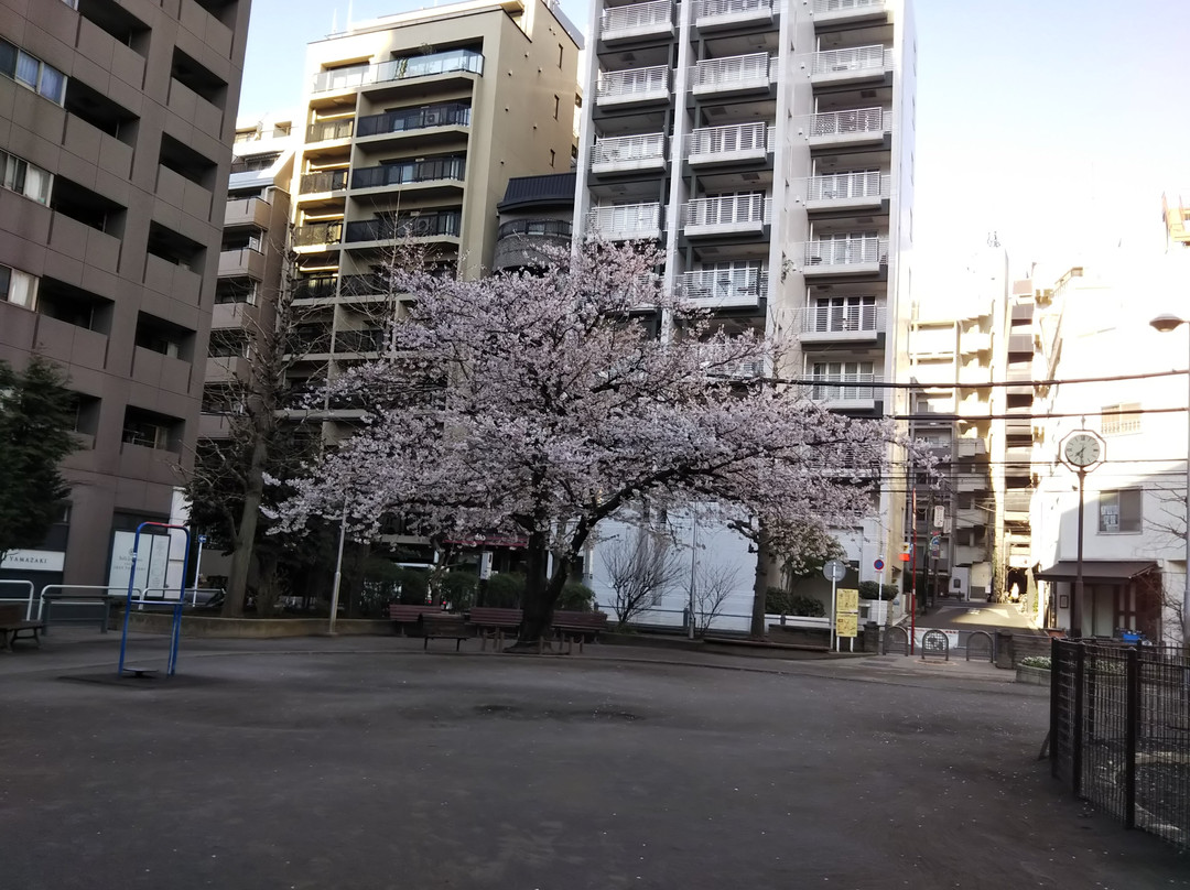 Amishiro Park景点图片