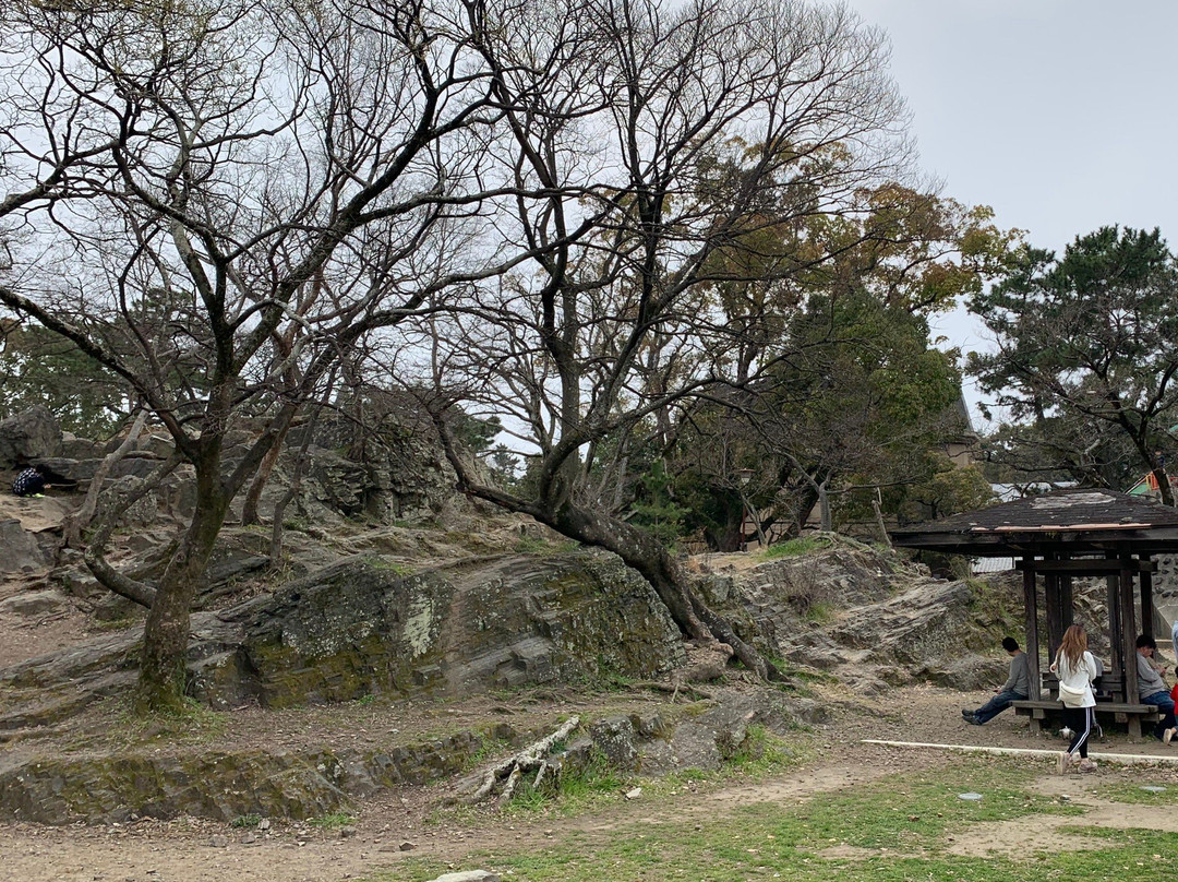Oka Park-和歌山市必去景点