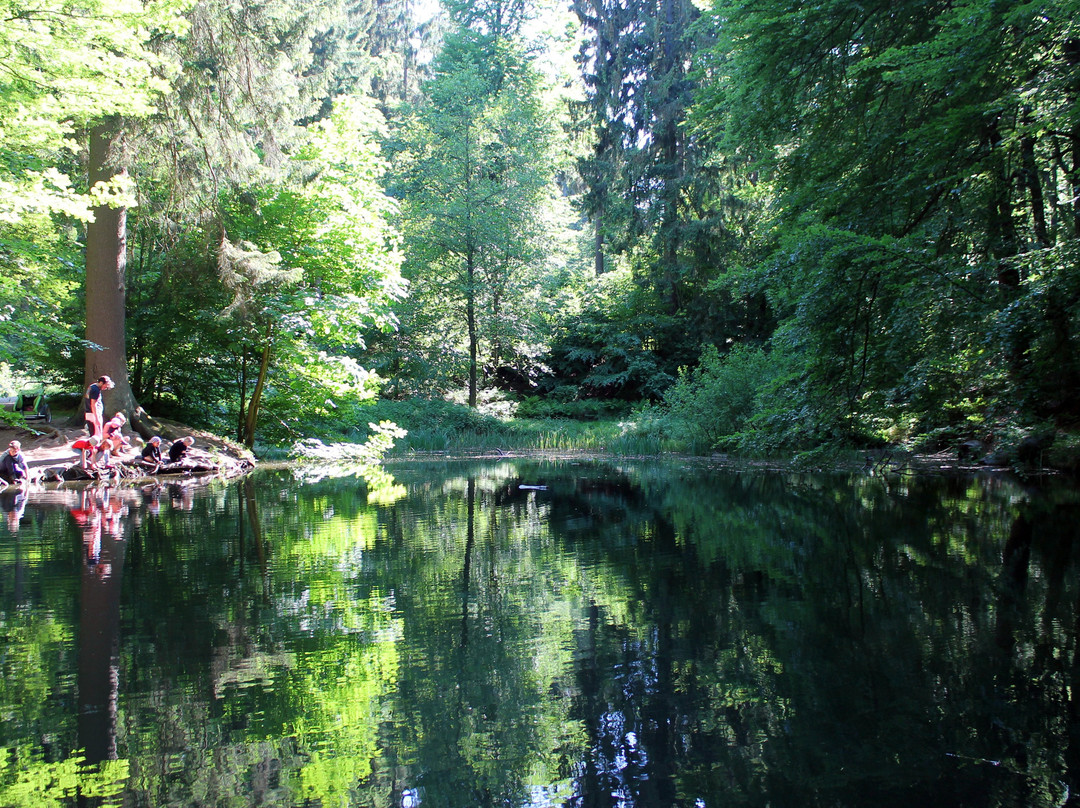 Deister Süntel MTB Verleih-Hulsede必去景点