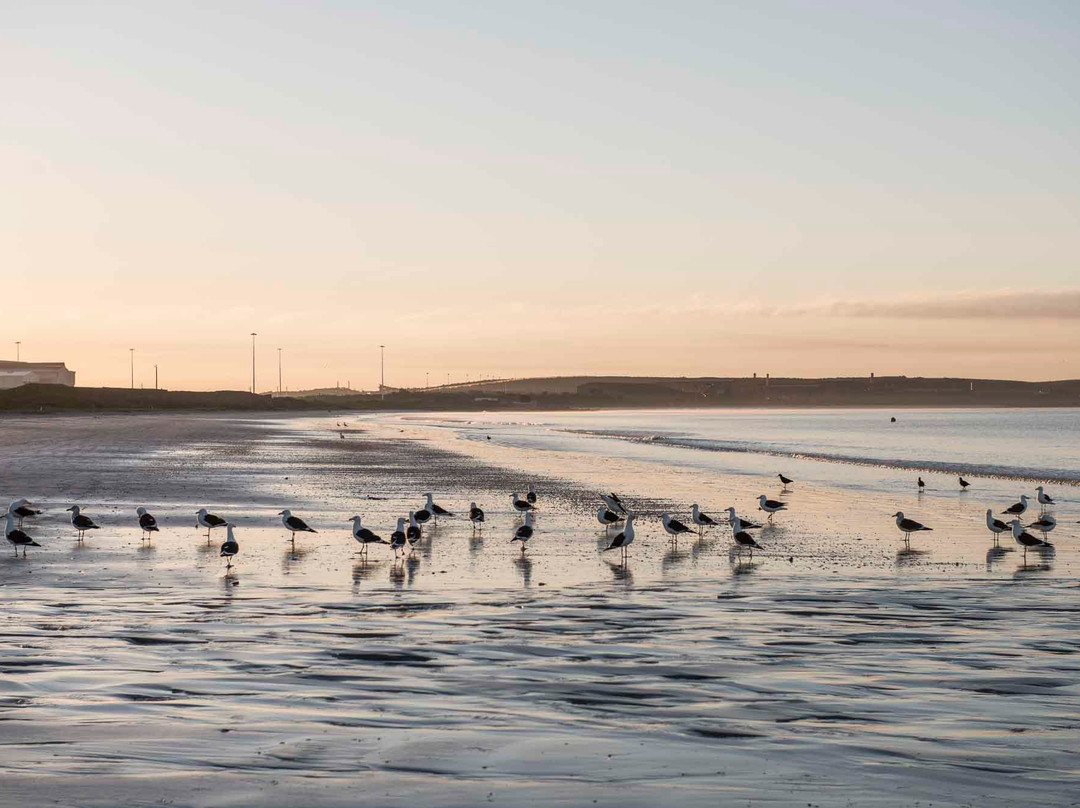 Blue Bay Lodge and Resort主图