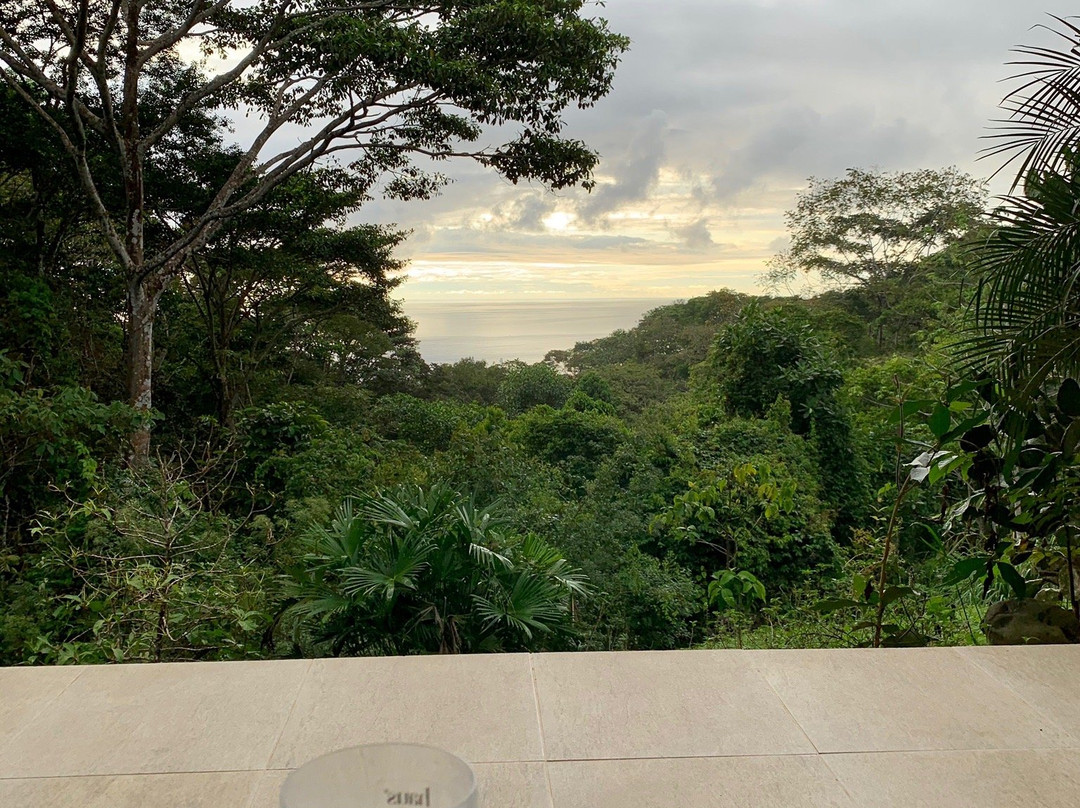 Tree of Life Cabinas主图