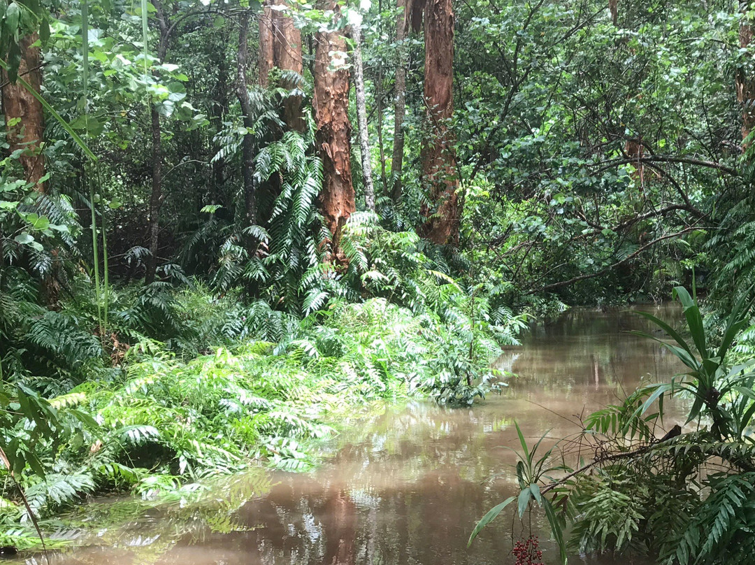 Cattana Wetlands-Smithfield必去景点
