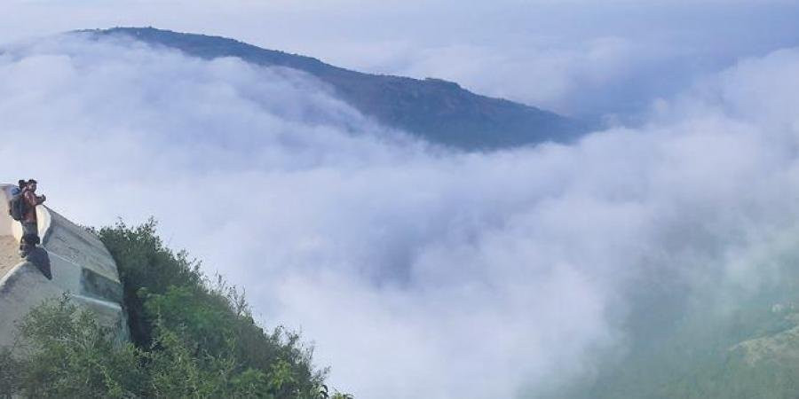 Second Life Resort主图