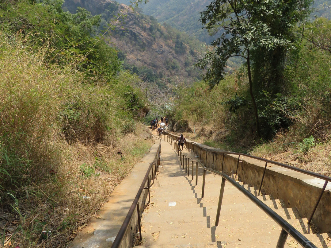 Agaya Gangai Waterfalls景点图片