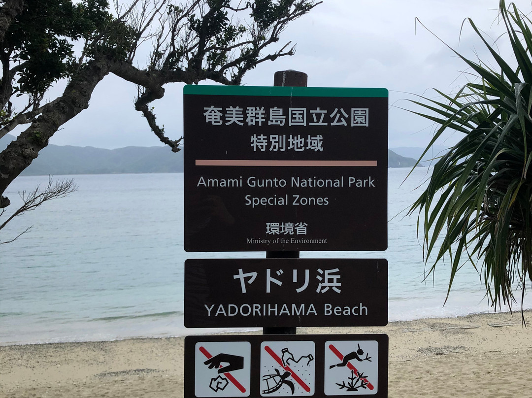 Yadoribama Beach景点图片