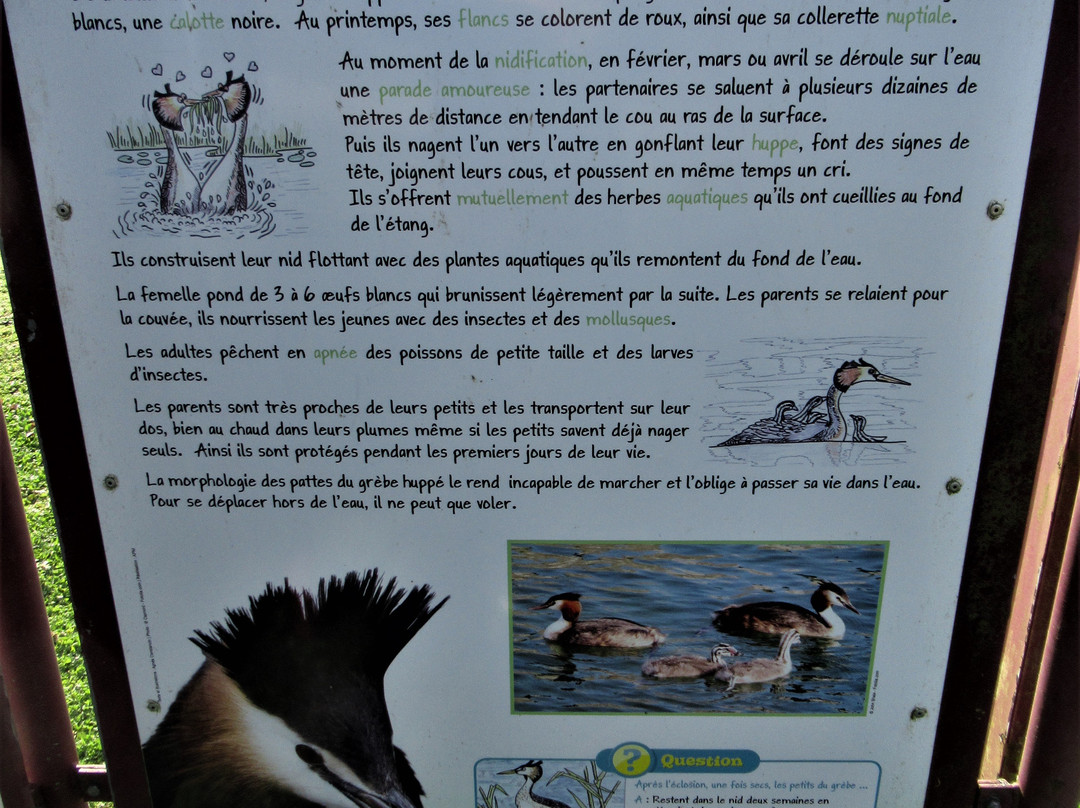 Parc Naturel du Patis-莫城必去景点