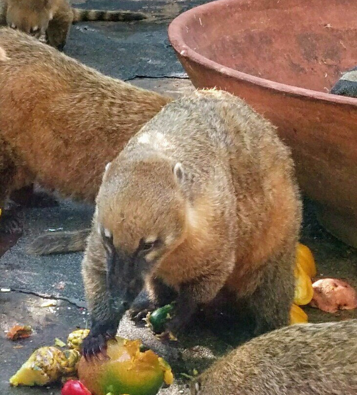 Haifa Educational Zoo-Haifa必去景点