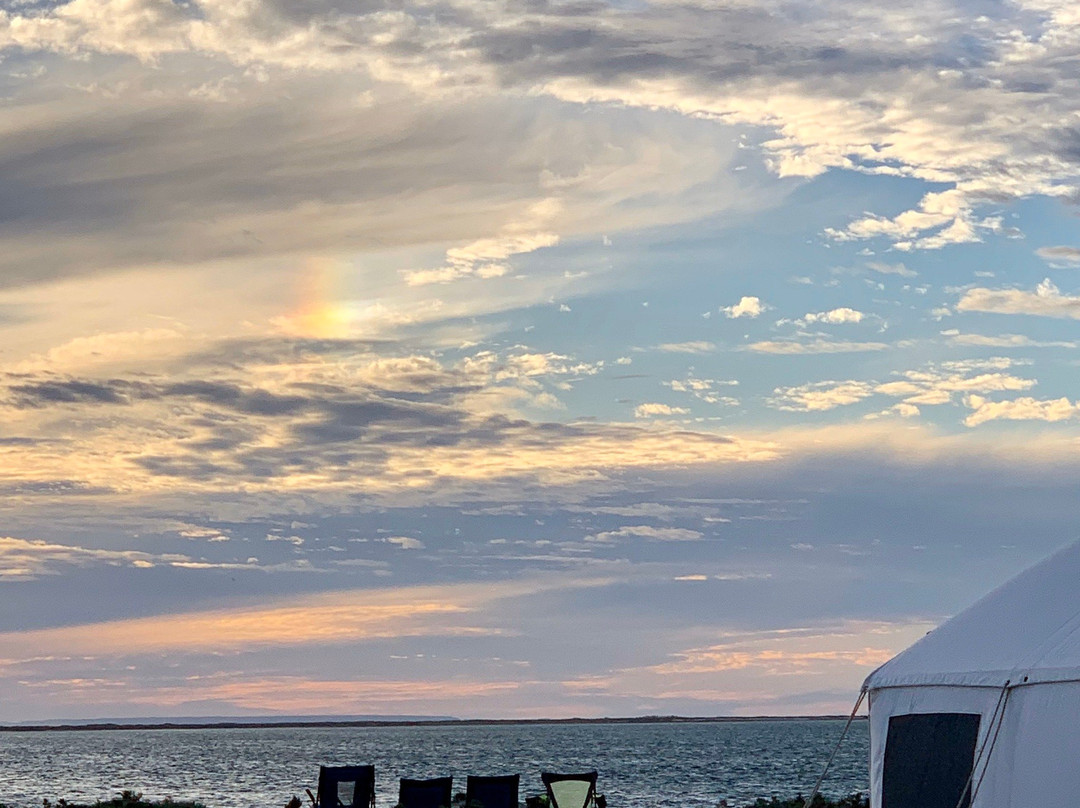 Baja Discovery-San Ignacio必去景点