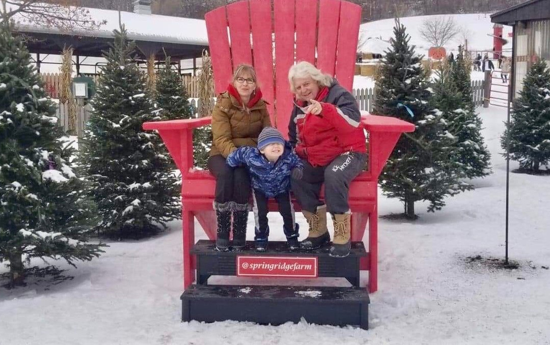 Springridge Farm-Milton必去景点