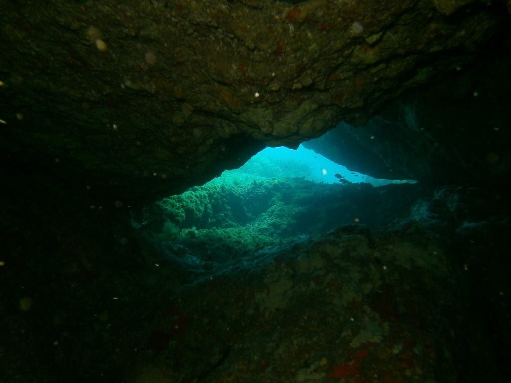 Ajòò dive!-Portoscuso必去景点