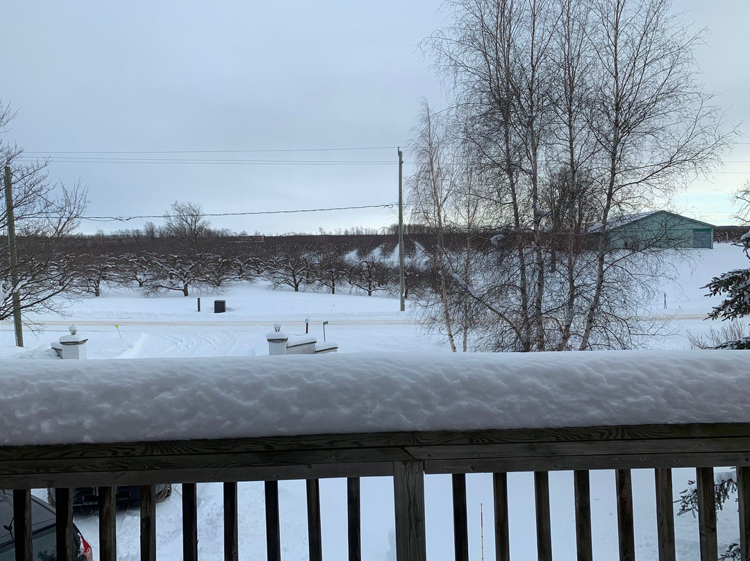 21 North B & B主图