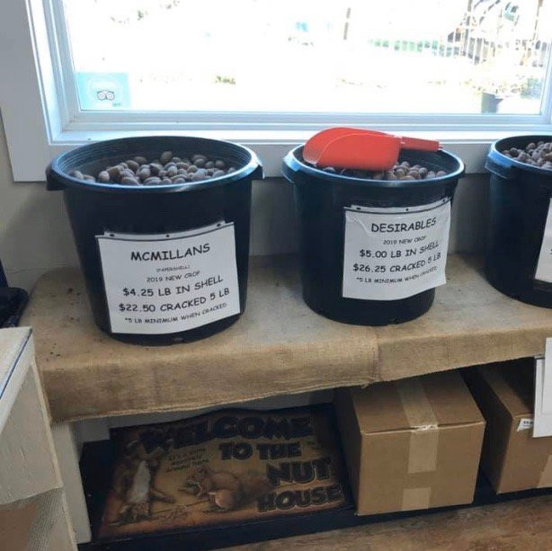 B & B Pecan Co-费尔霍普必去景点