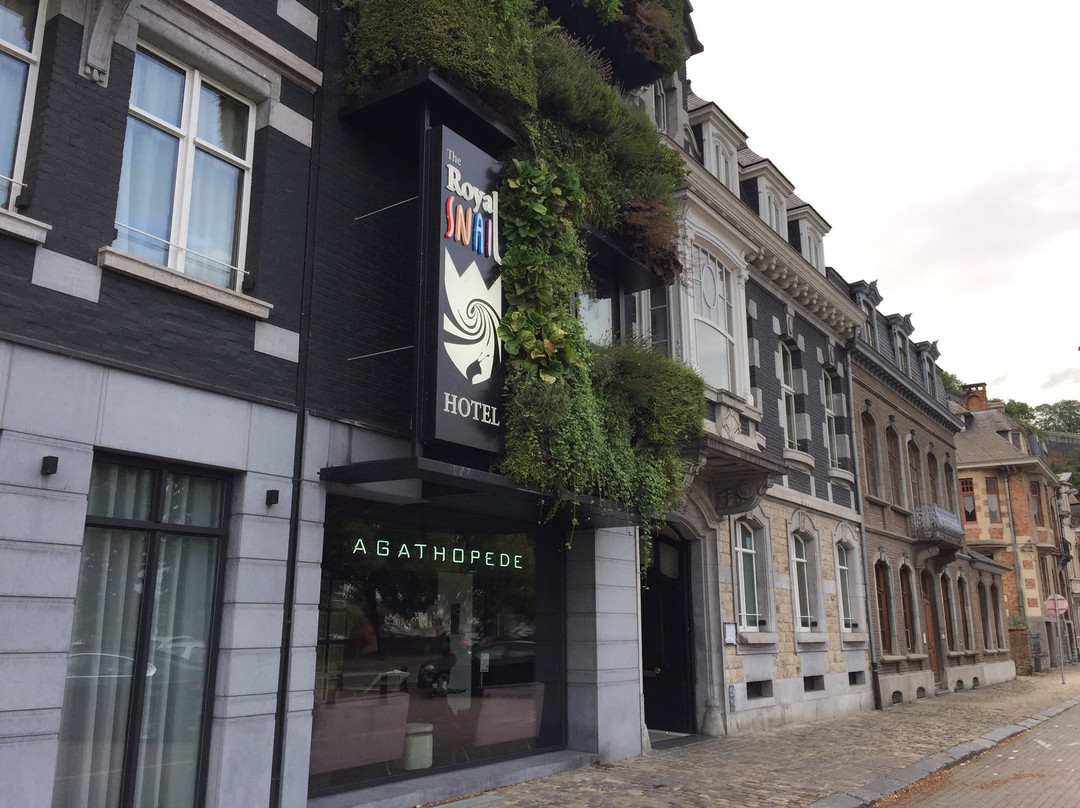 The Royal Snail Hotel主图
