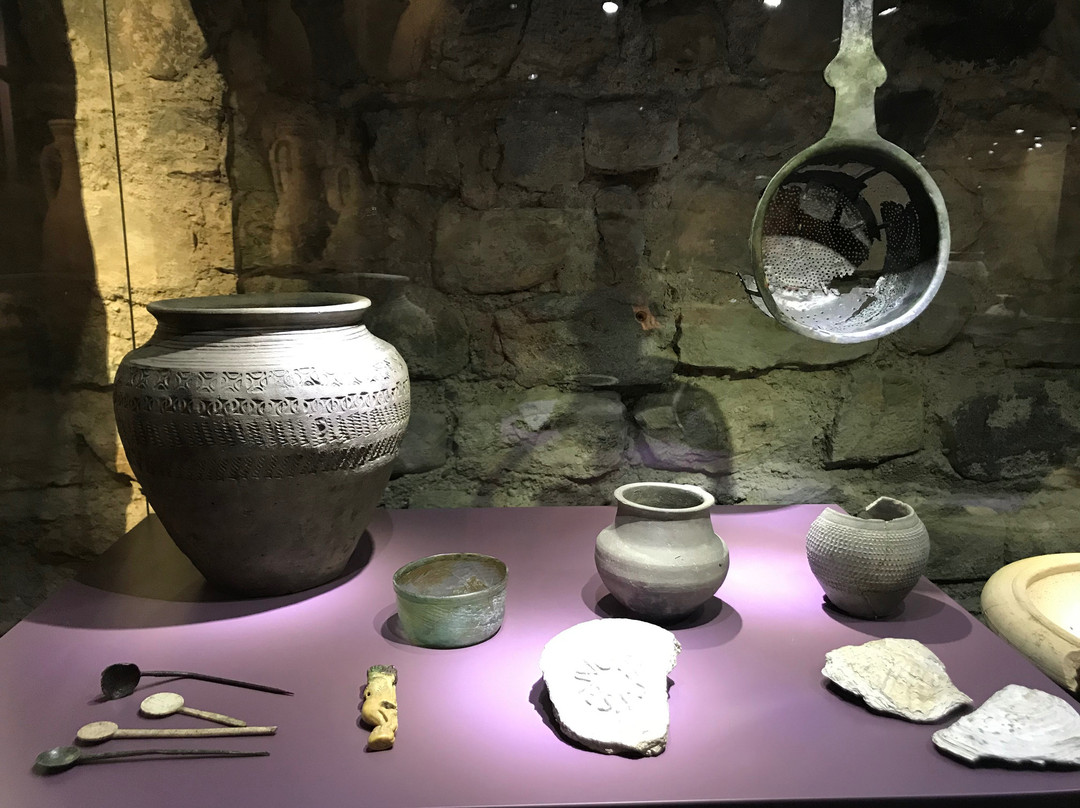 Musée romain-尼永必去景点