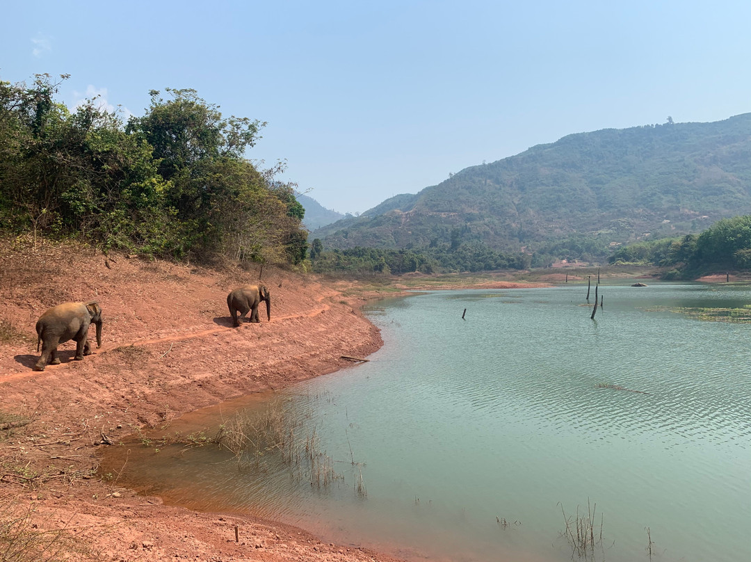 Vang Vieng Elephant Sanctuary-旺阳必去景点