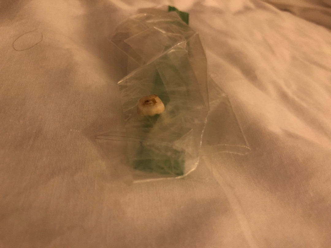 Pellston Lodge Magnuson Hotel主图