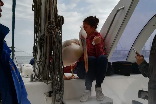 Galago Tours & Safaris Namibia-温德和克必去景点