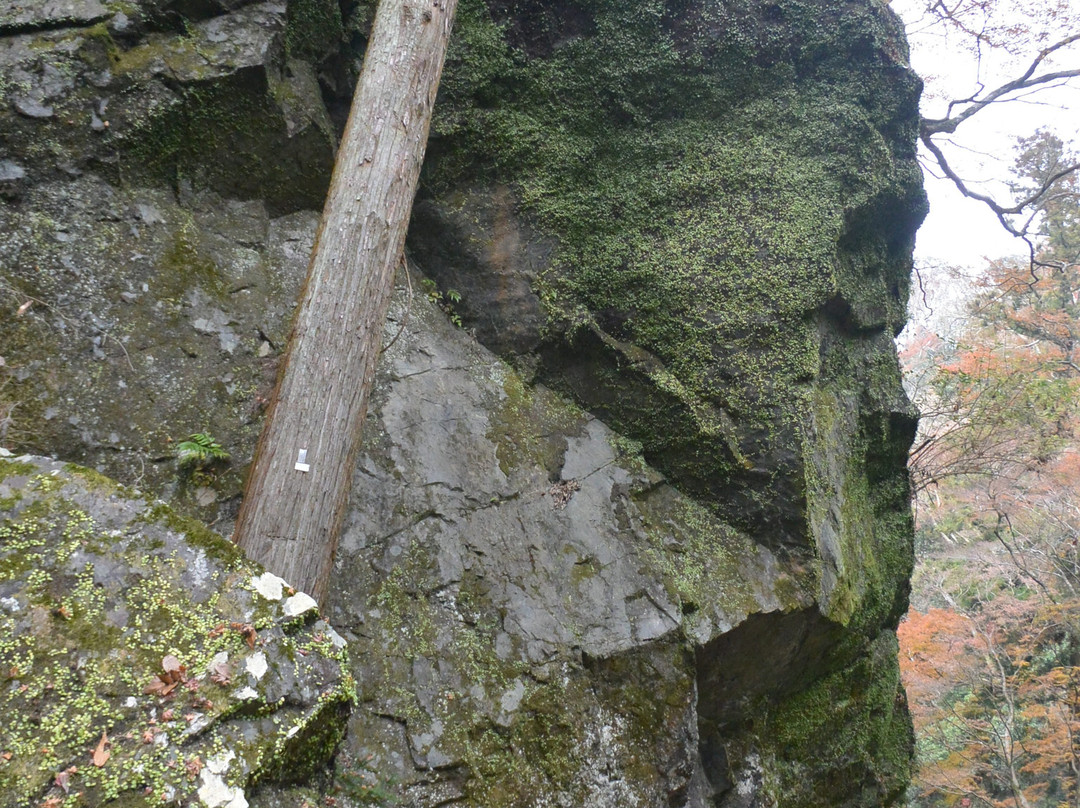 Tojin Modoriiwa