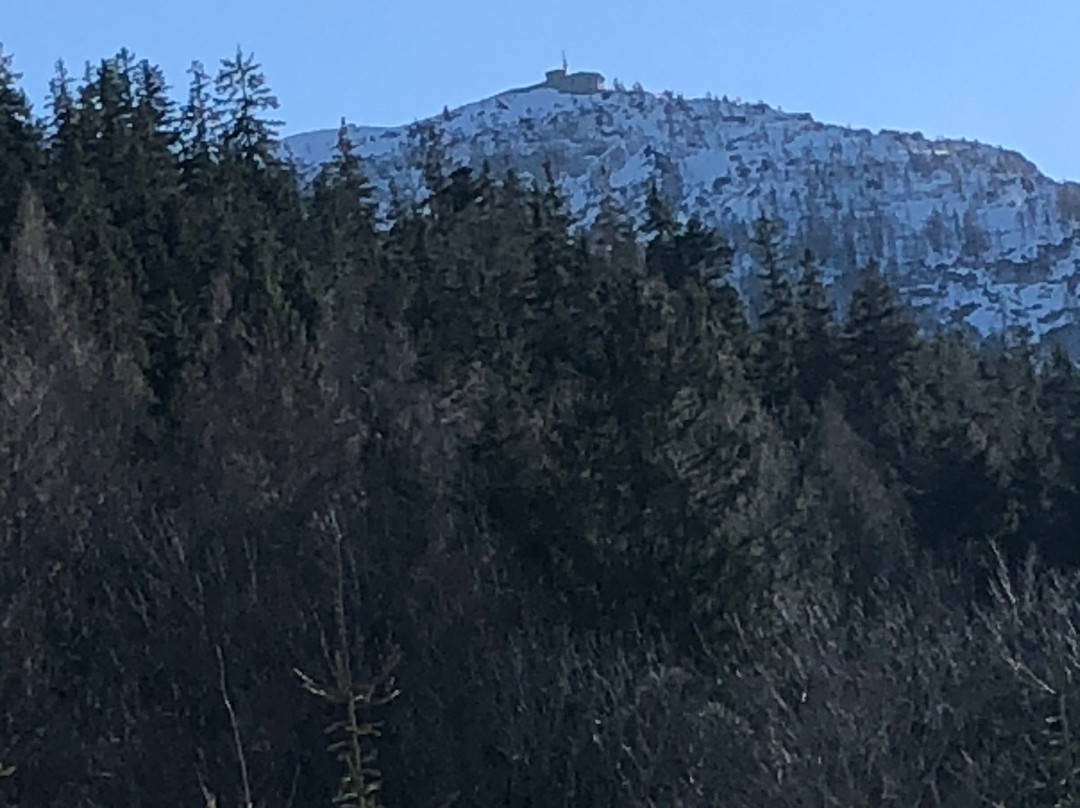 Bavarian Mountains and Salt Mines Tour-萨尔茨堡必去景点
