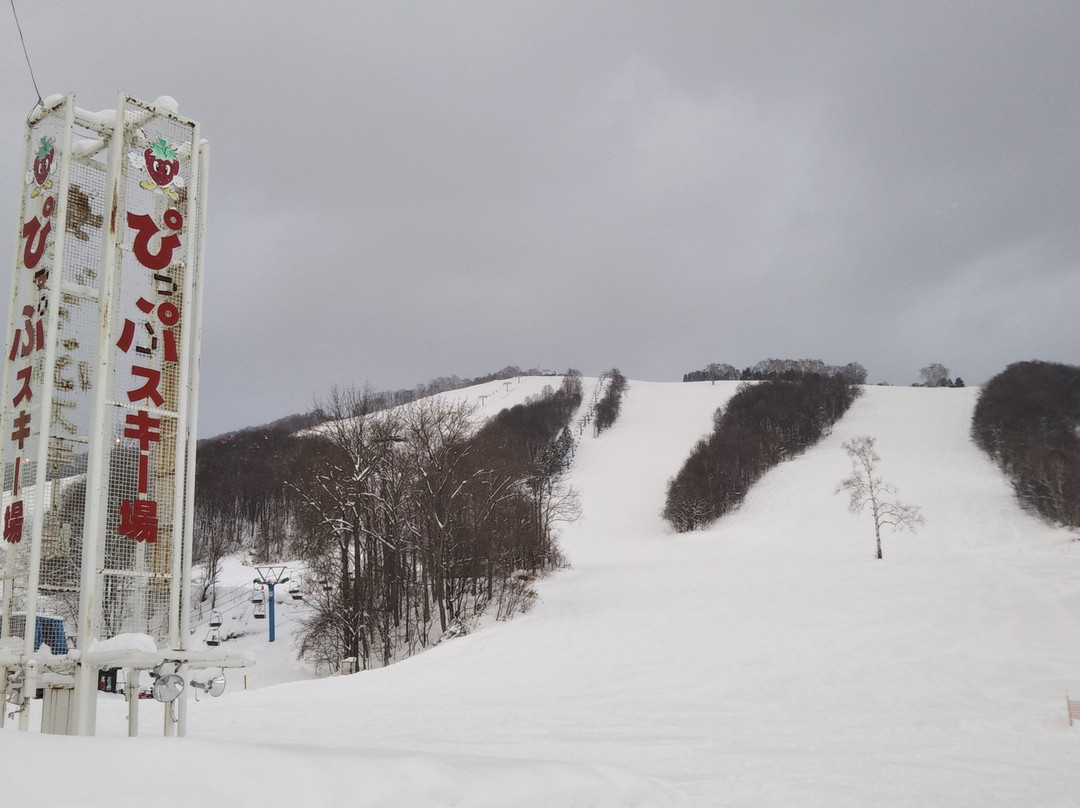 Pippu Ski Area景点图片
