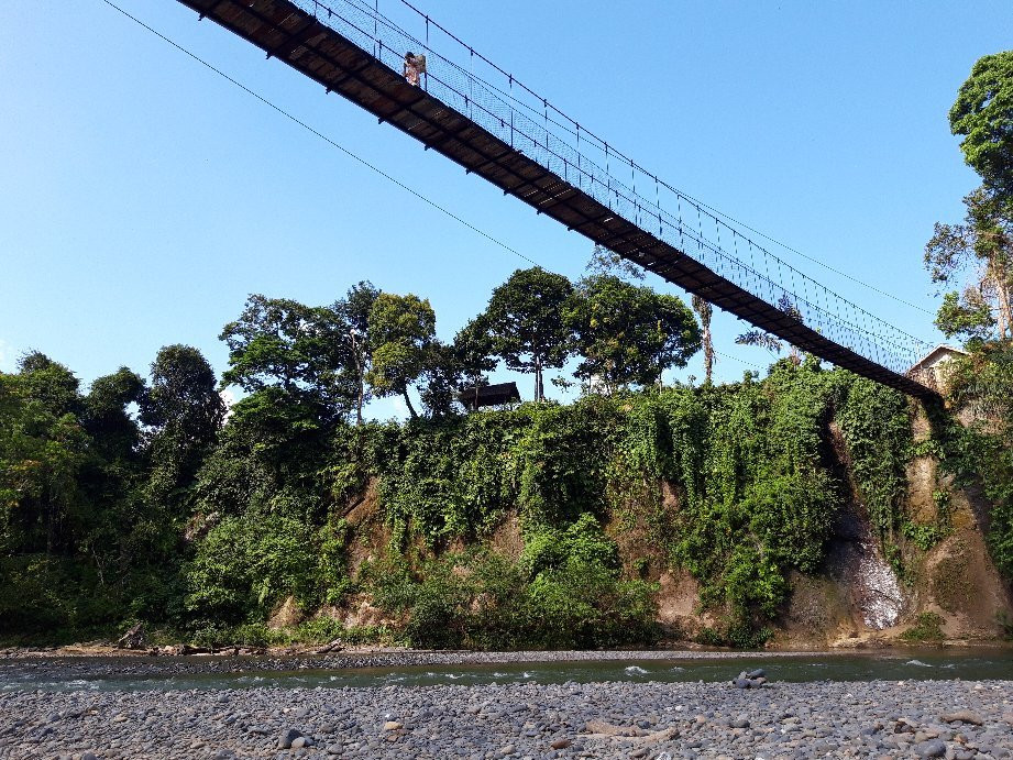 Elephant Camp-Tangkahan必去景点