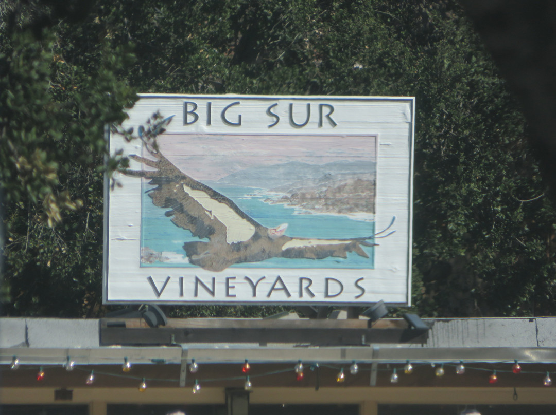 Big Sur Vineyards景点图片