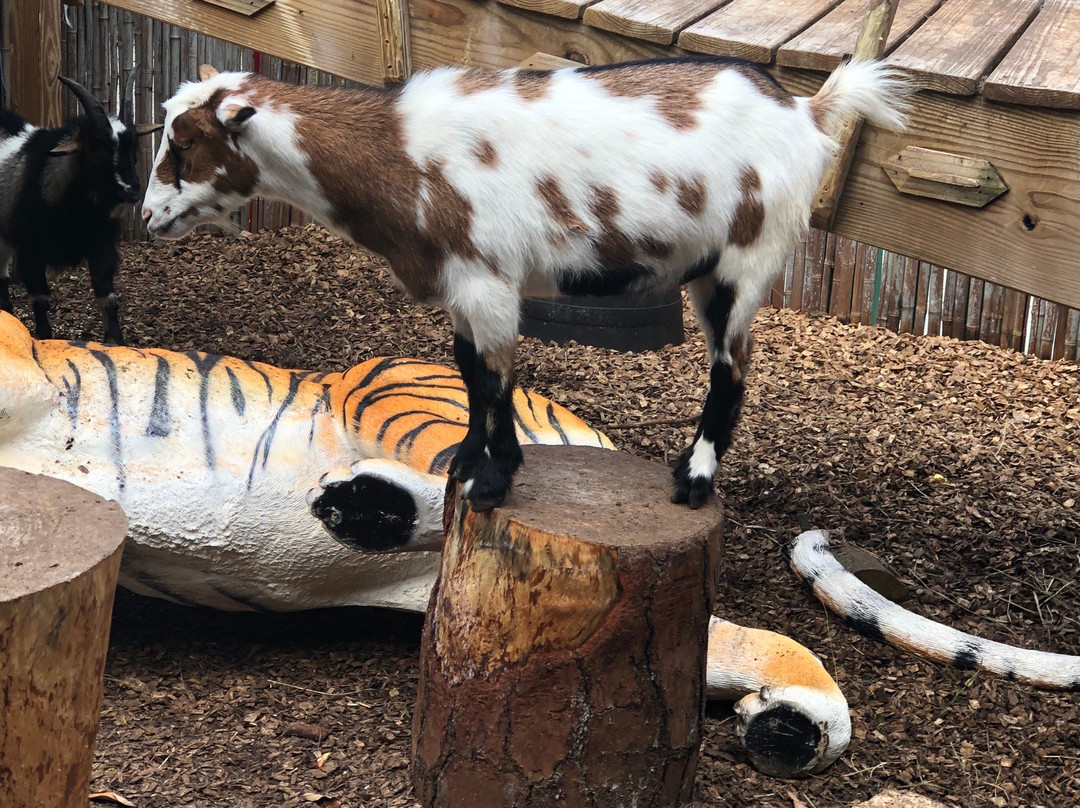 The Girls Strawberry U-pick-德拉海滩必去景点