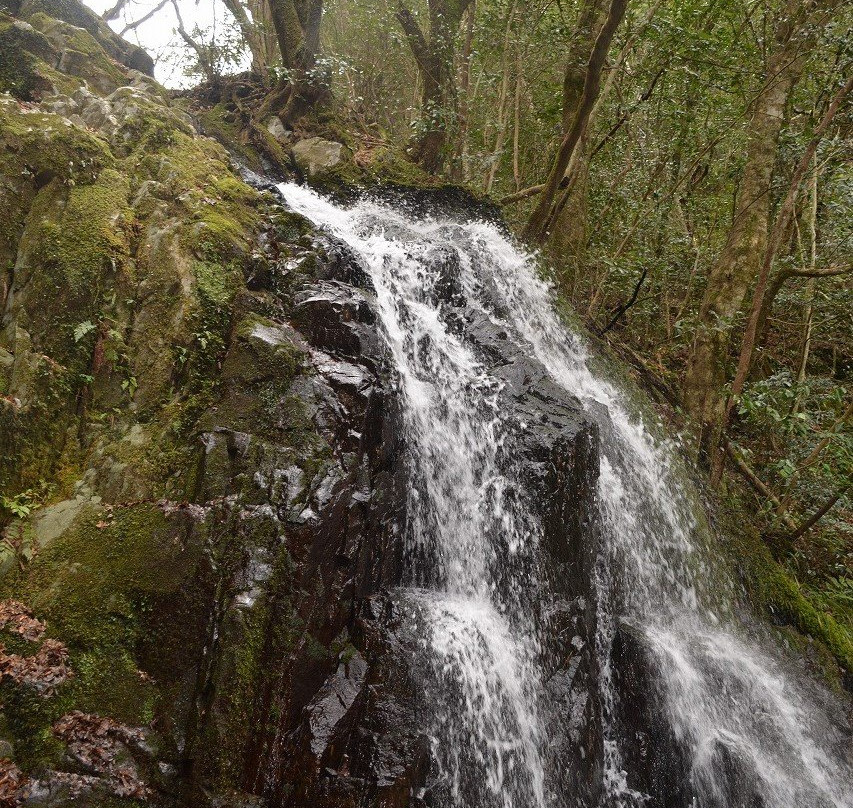 Shiraito Falls-美祢市必去景点