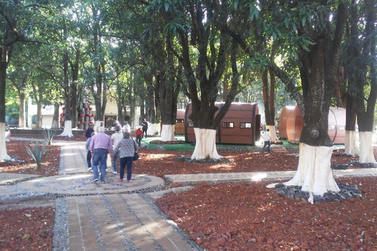 Tours Tequilarte-瓜达拉哈拉必去景点